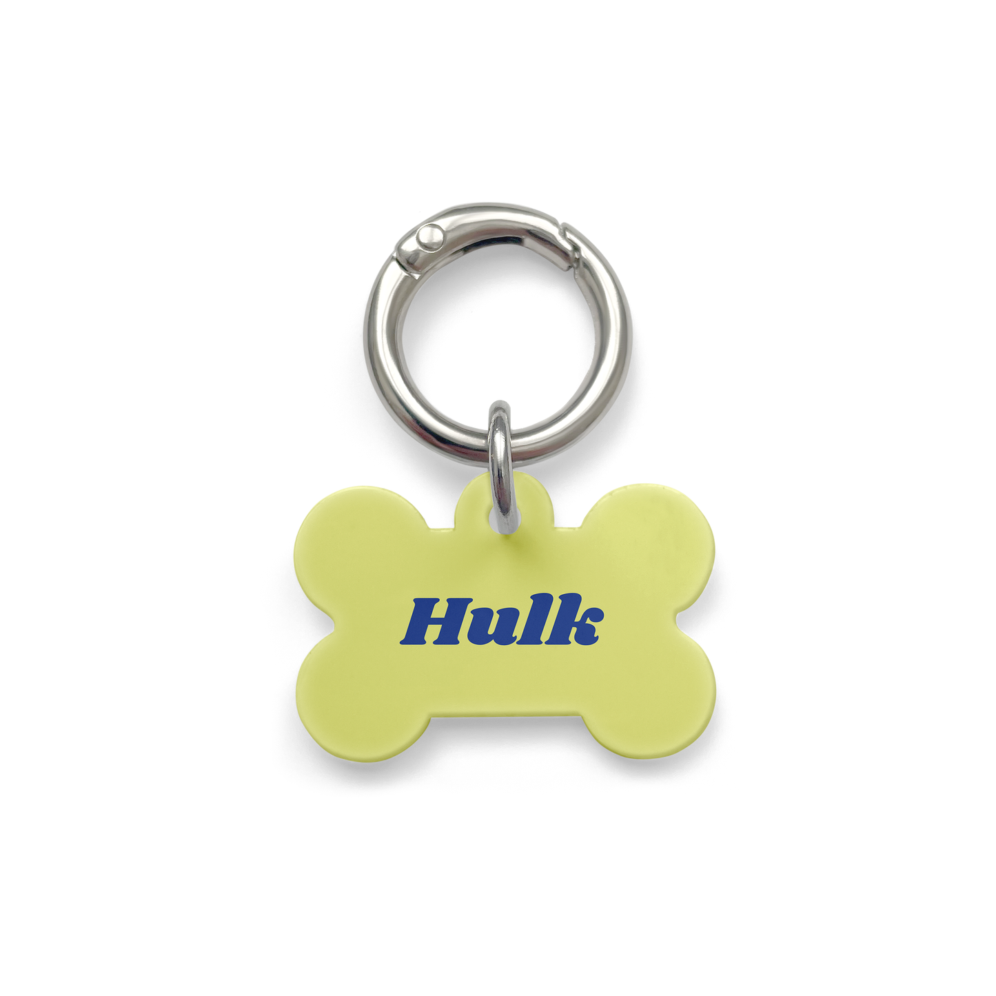 Light green bone shaped pet tag and navy blue writing of the pets name, with a silver ring