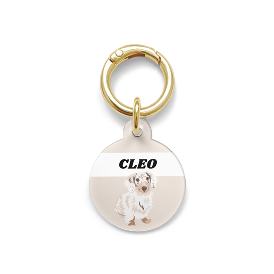 Long Haired Dachshund illustration on a circular dog ID tag with a beige background and gold ring.