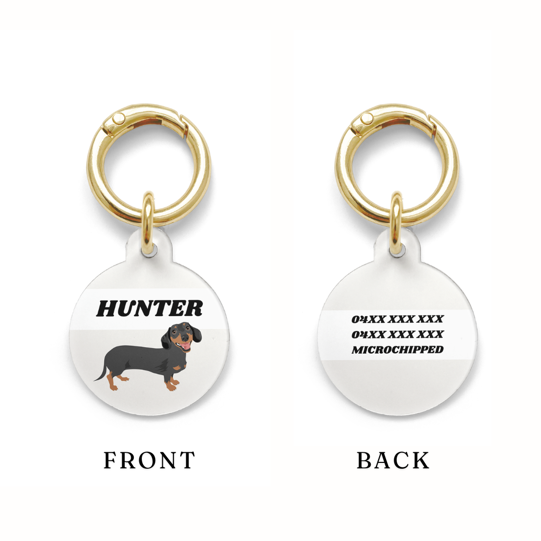 Sample front and back of a Black and tan dachshund Pet ID tag, showing where the contact details would be applied.