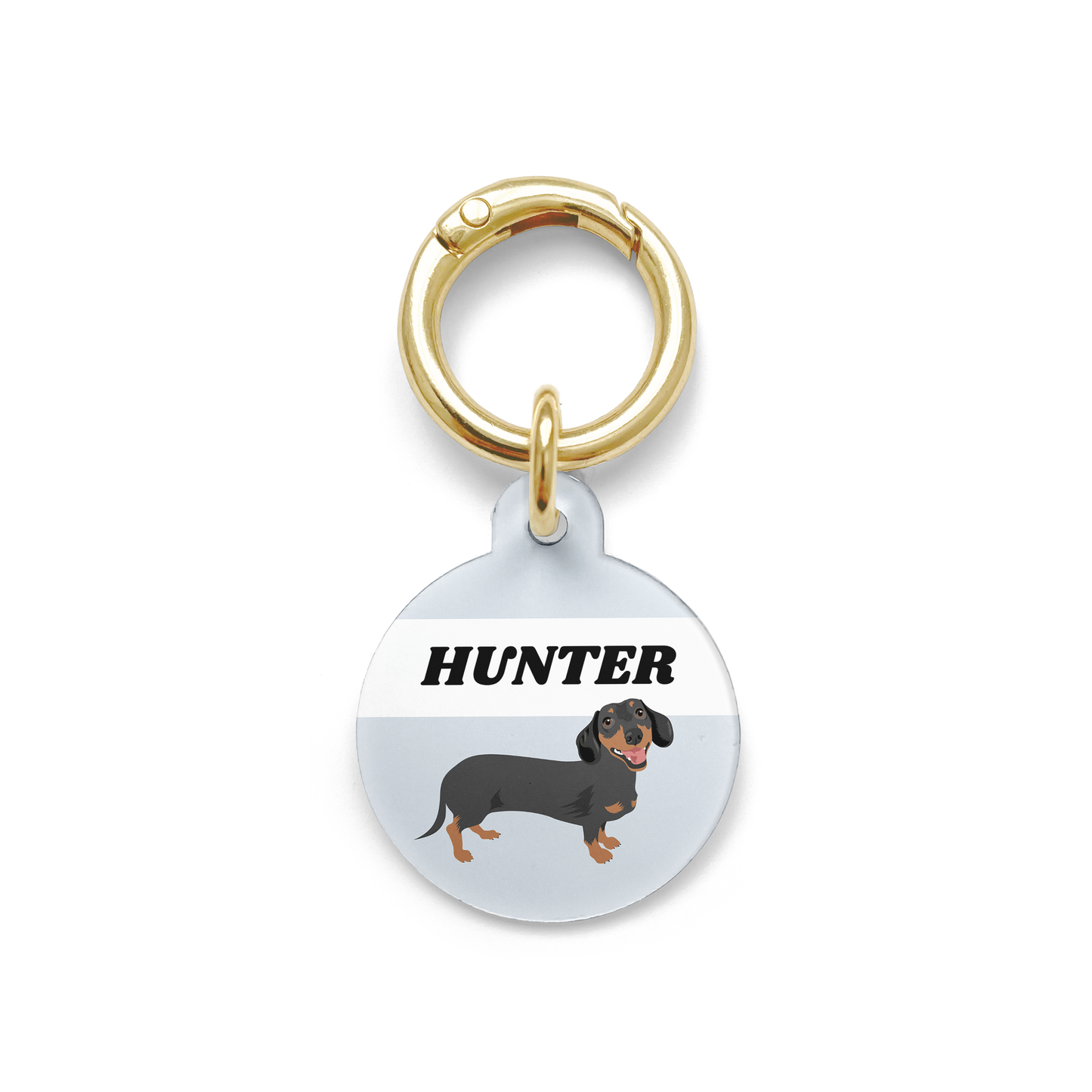 Black and tan dachshund illustration on a circular dog tag with a blue background and gold ring.