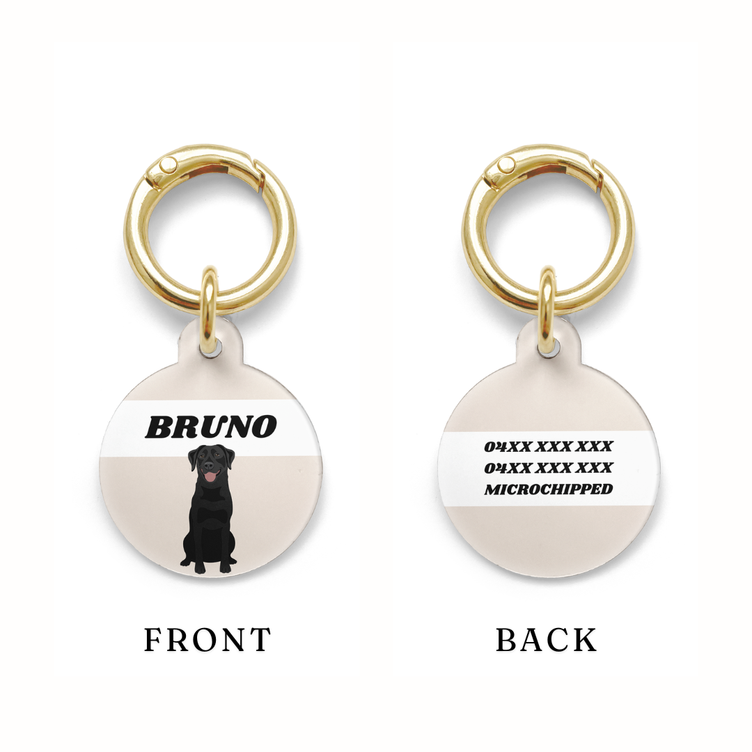 Example of where you can add contact information on the Parcs Dog Apparel Black Labrador dog tag