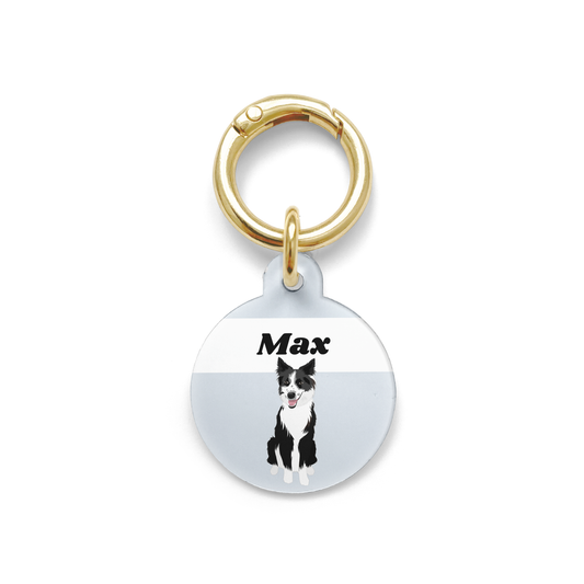 Border Collie illustration on a circular dog ID tag with a blue background and gold ring.
