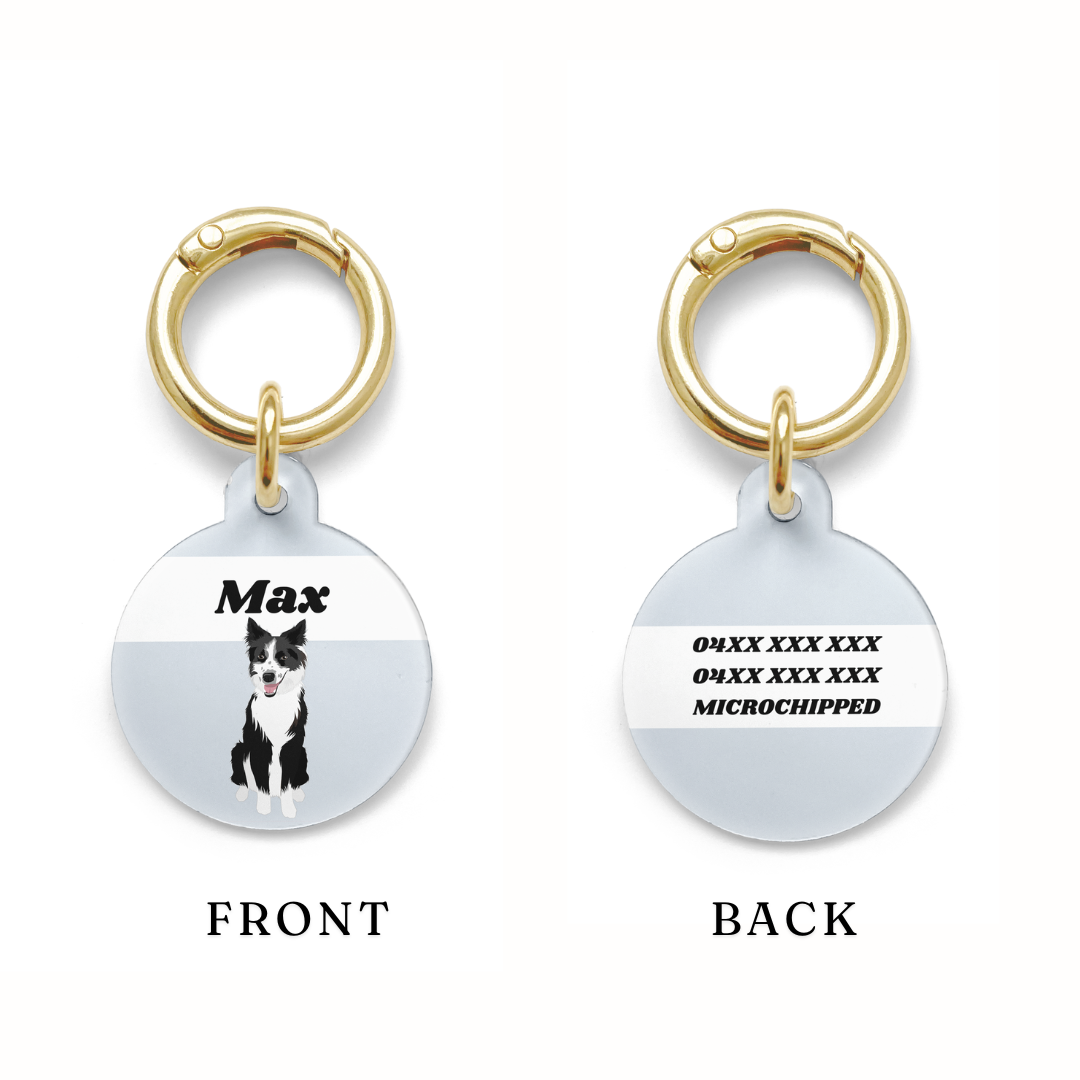 Example of where the contact details go on a circular Border Collie dog ID tag with a blue background and gold ring.
