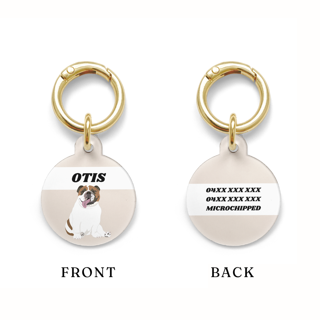 Example of the position of your contact information on a circular Bulldog dog ID tag with a beige background and gold ring.