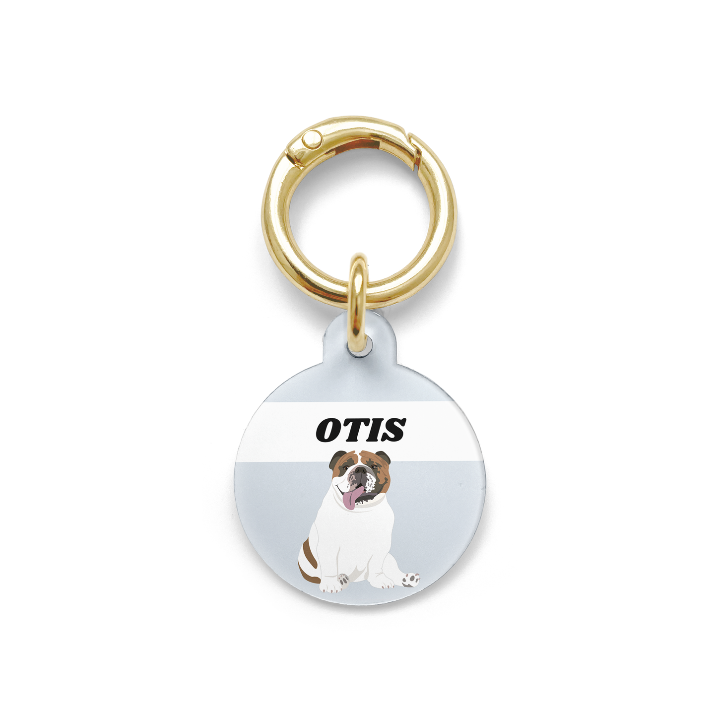 Bulldog illustration on a circular dog ID tag with a blue background and gold ring.