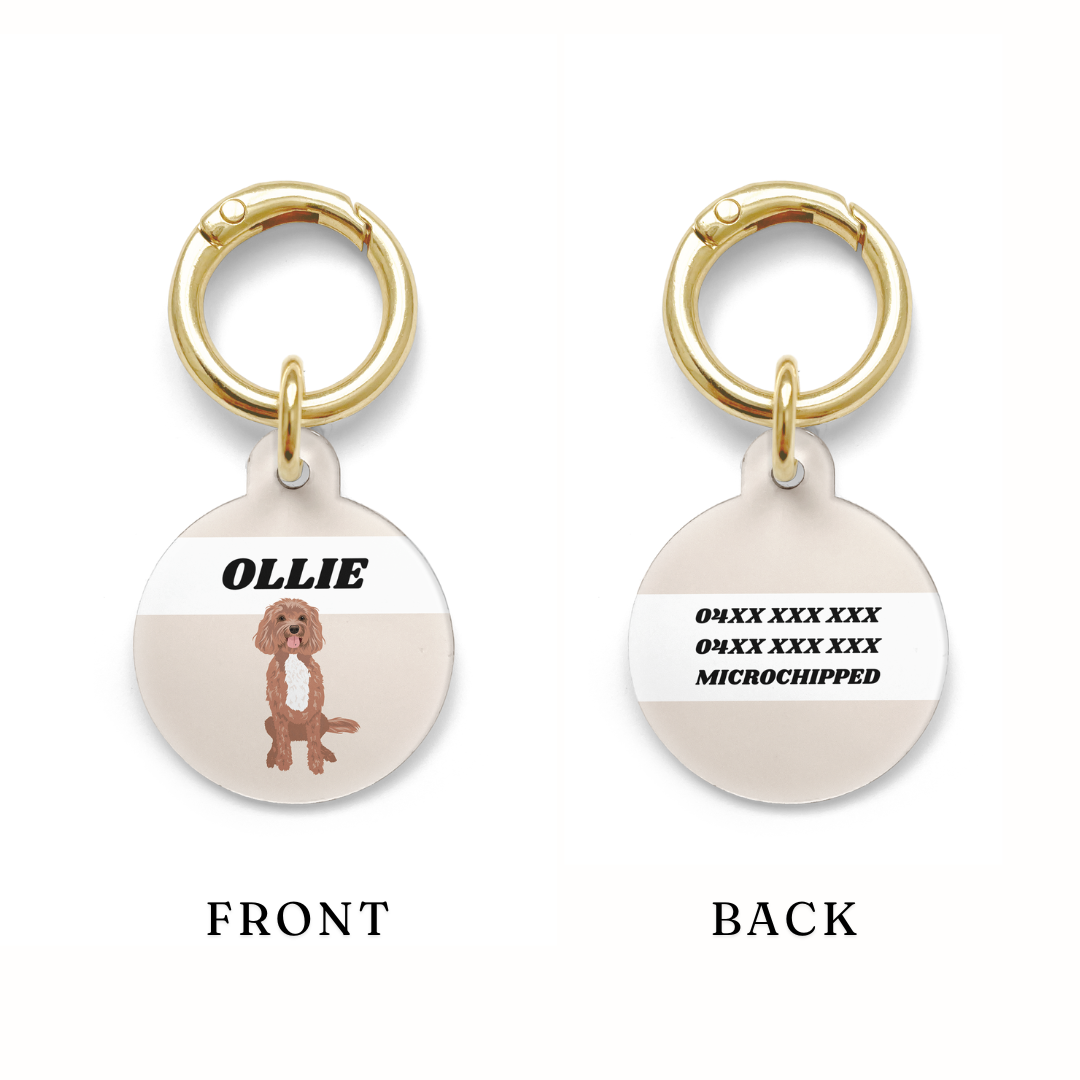 Example of where the contact detail personalisation occurs on a circular Cavoodle dog ID tag with a beige background and gold ring.