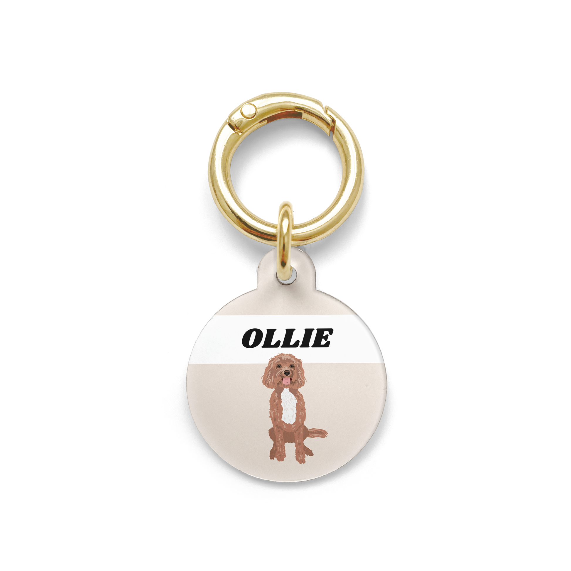 Cavoodle illustration on a circular dog ID tag with a beige background and gold ring.