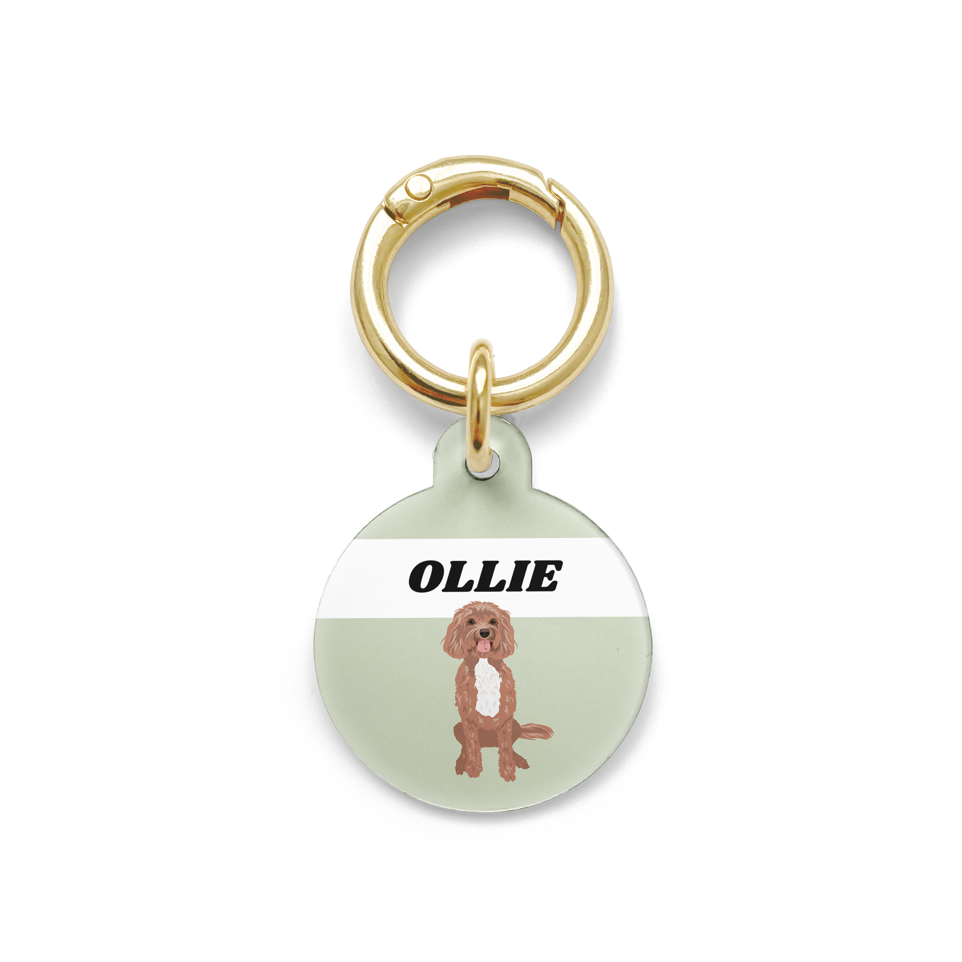 Cavoodle illustration on a circular dog ID tag with a green background and gold ring.