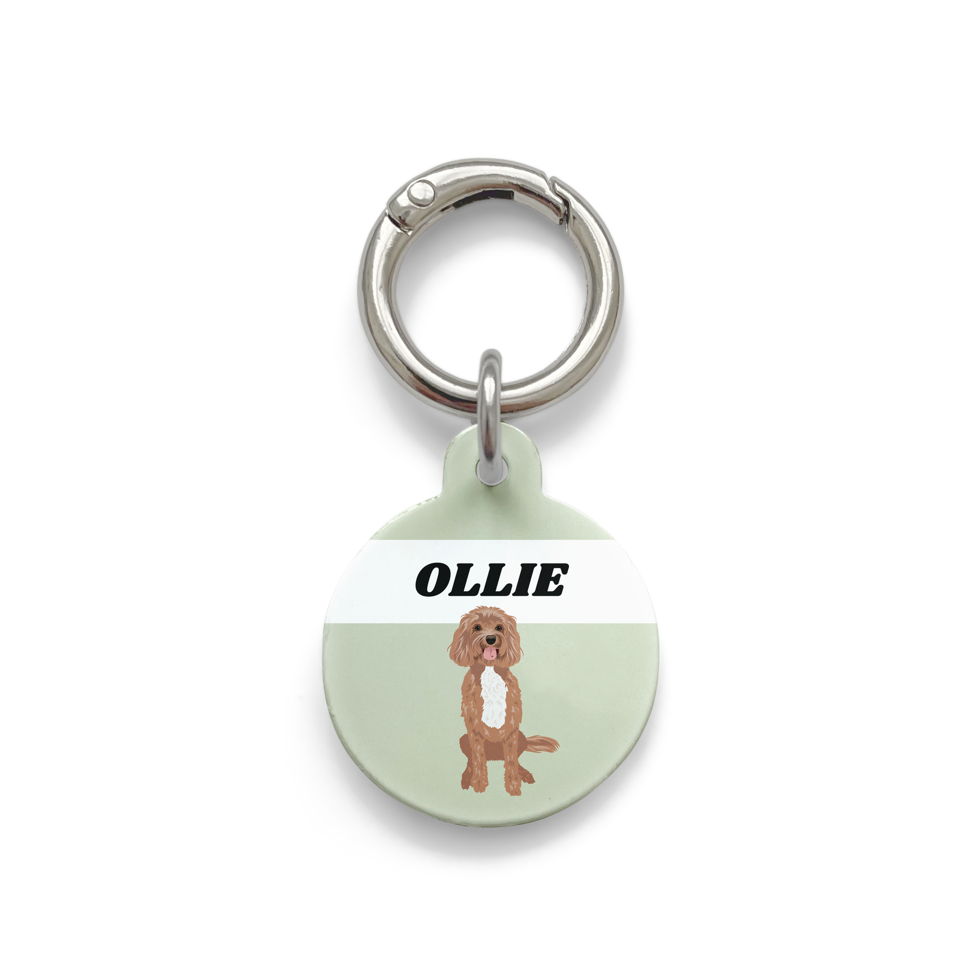 Cavoodle illustration on a circular dog ID tag with a green background and silver ring.
