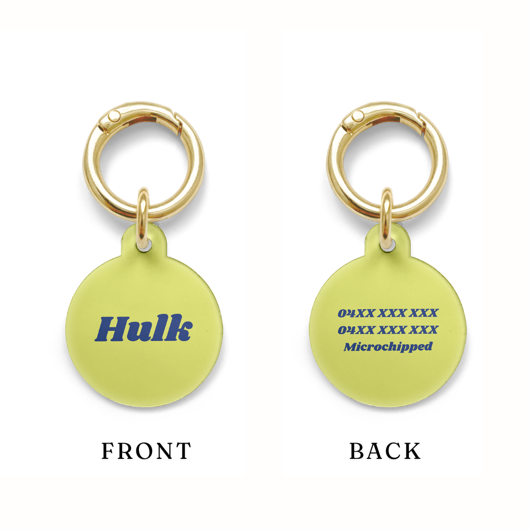 Example showing the contact detail layout on a simple green circular pet tag.