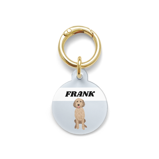 Groodle illustration on a circular dog ID tag with a blue background and gold ring.