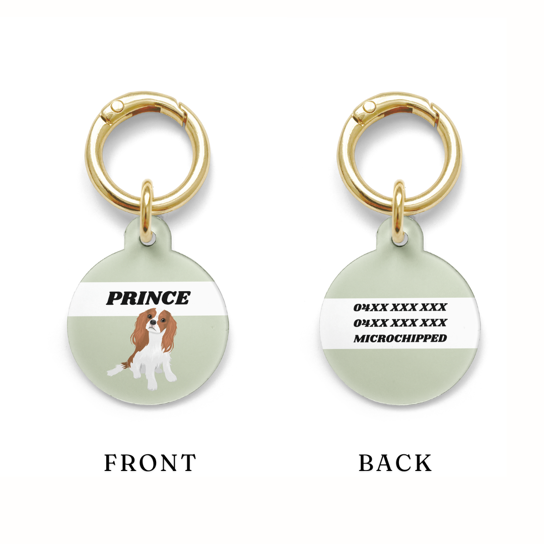 Example of the contact detail placement on a circular King Charles Cavalier dog ID tag with a green background and gold ring.