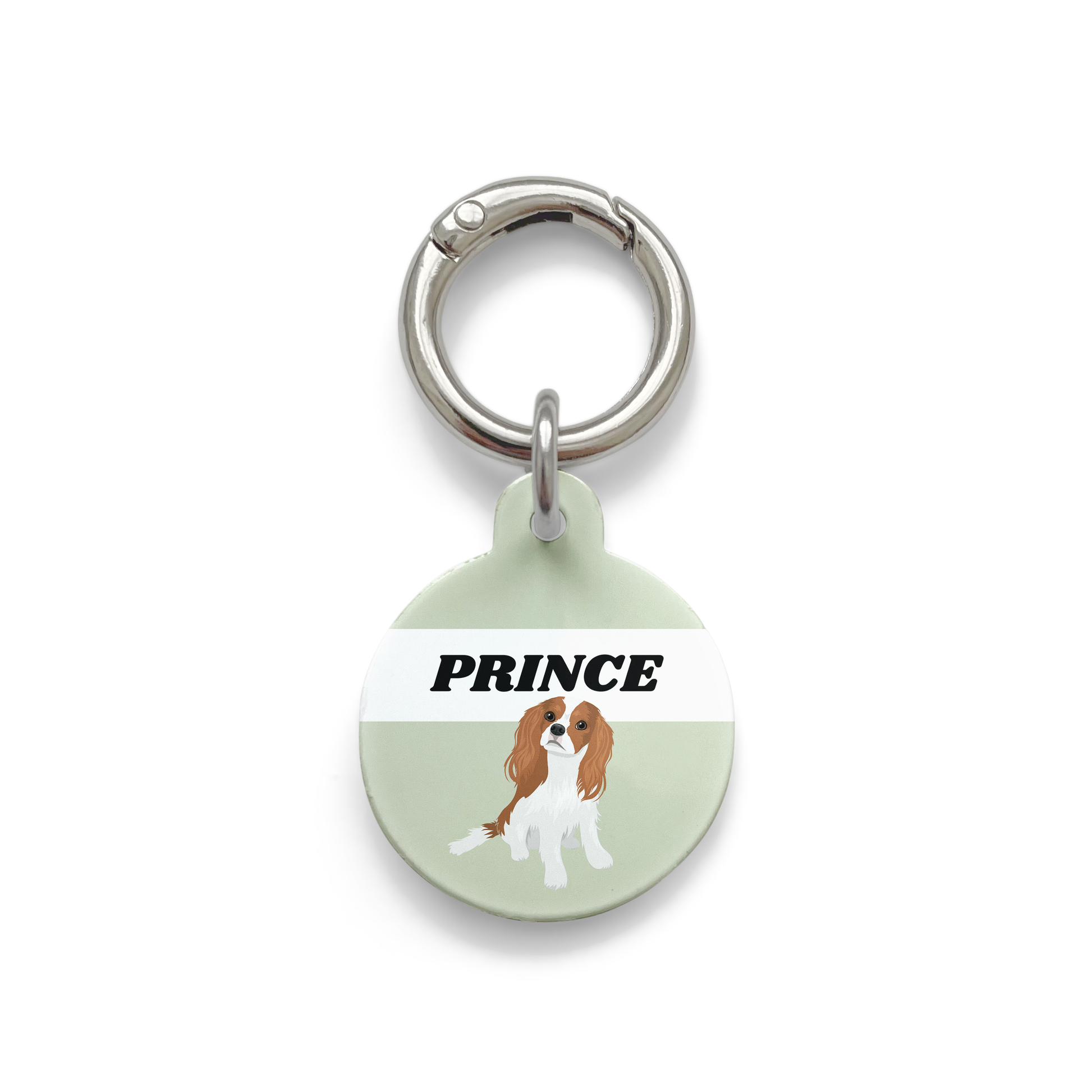 King Charles Cavalier illustration on a circular dog ID tag with a green background and silver ring.