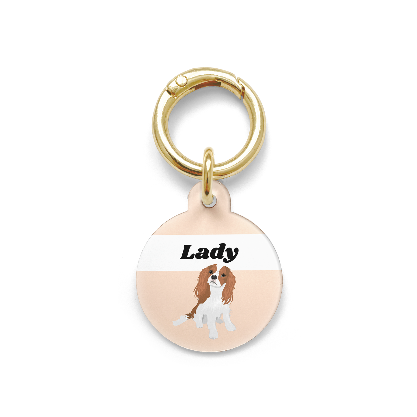 King Charles Cavalier illustration on a circular dog ID tag with a orange background and gold ring.
