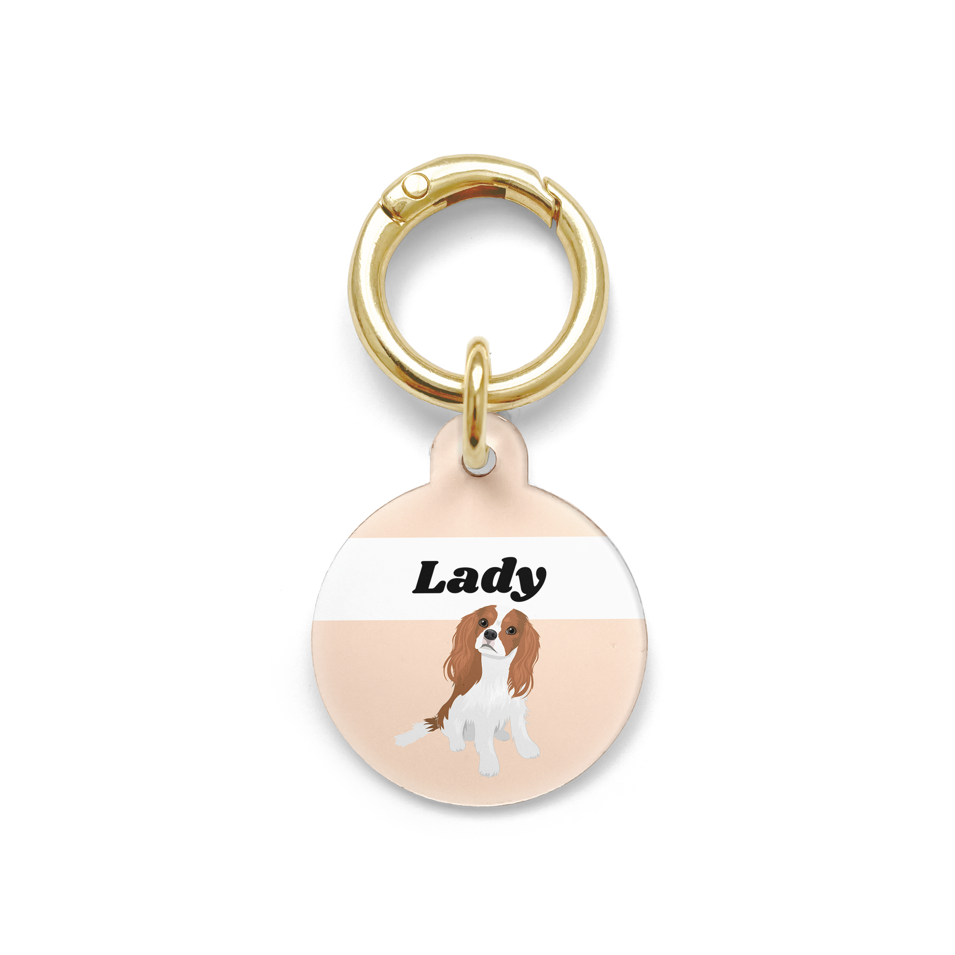 King Charles Cavalier illustration on a circular dog ID tag with a orange background and gold ring.