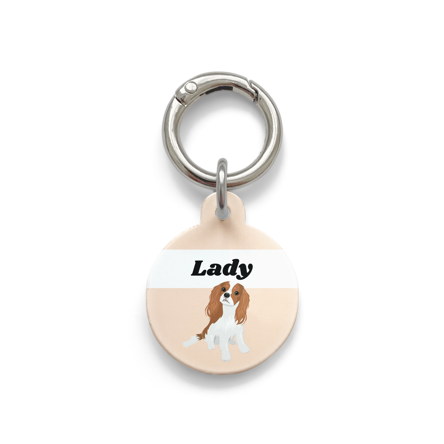 King Charles Cavalier illustration on a circular dog ID tag with a orange background and silver ring.