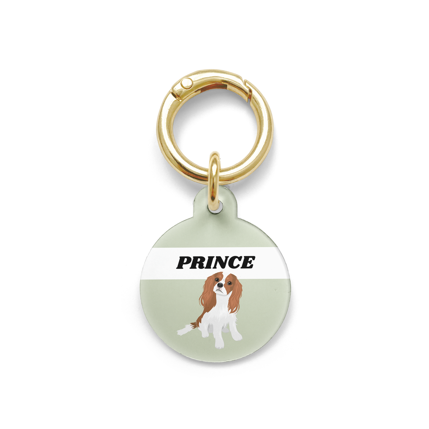 King Charles Cavalier illustration on a circular dog ID tag with a green background and gold ring.