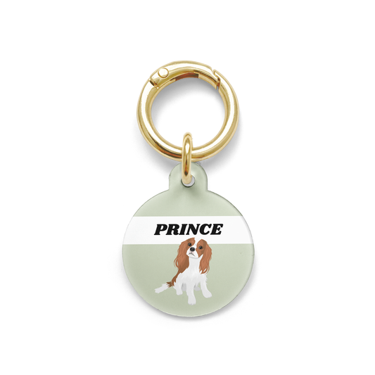 King Charles Cavalier illustration on a circular dog ID tag with a green background and gold ring.