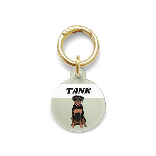 Rottweiler illustration on a circular dog ID tag with a green background and gold ring.