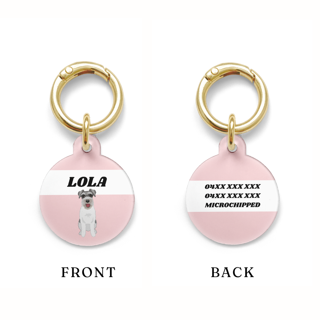 Example of contact details showing on a circular Schnauzer dog ID tag with a pink background and gold ring.