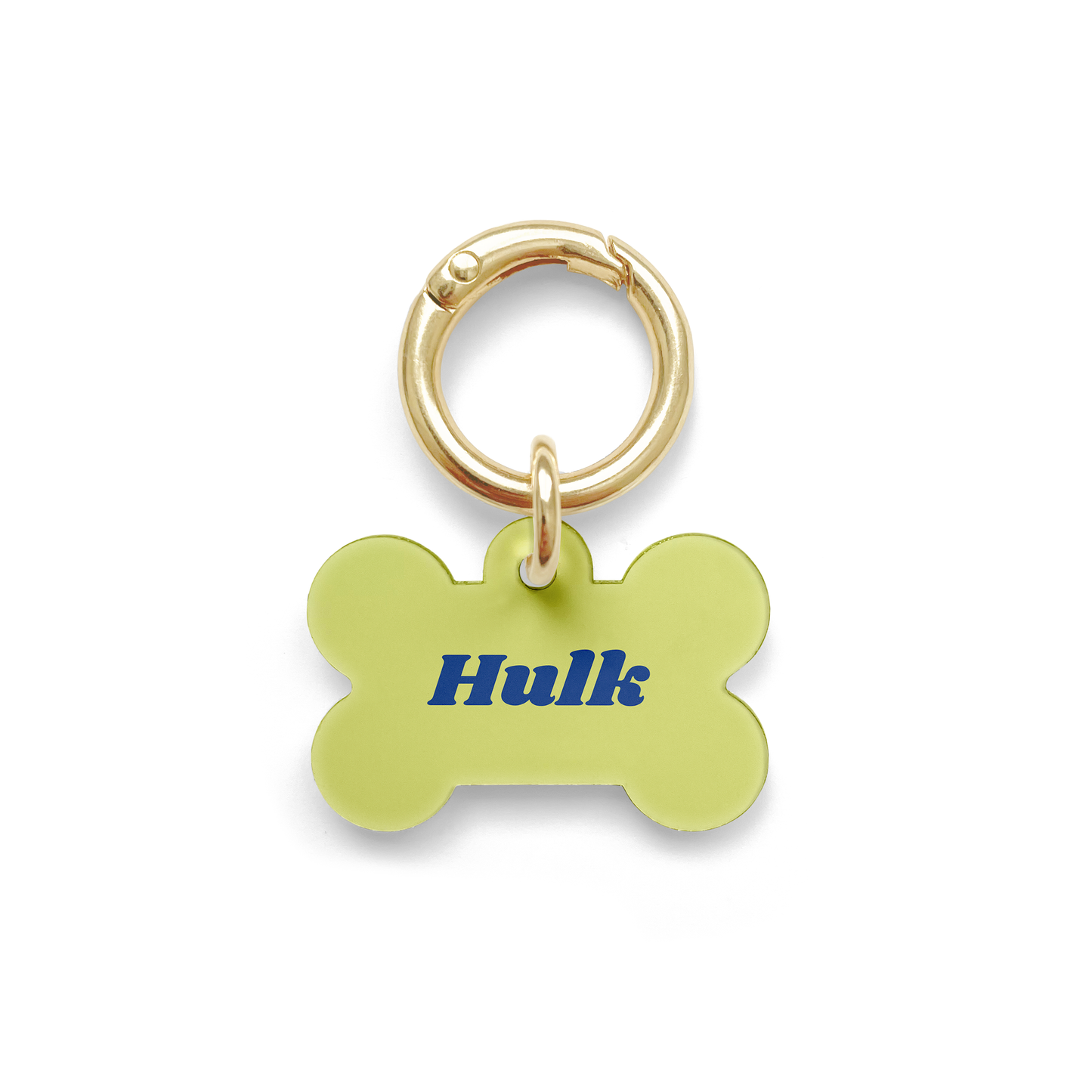 Light green bone shaped pet tag and navy blue writing of the pets name, with a gold ring