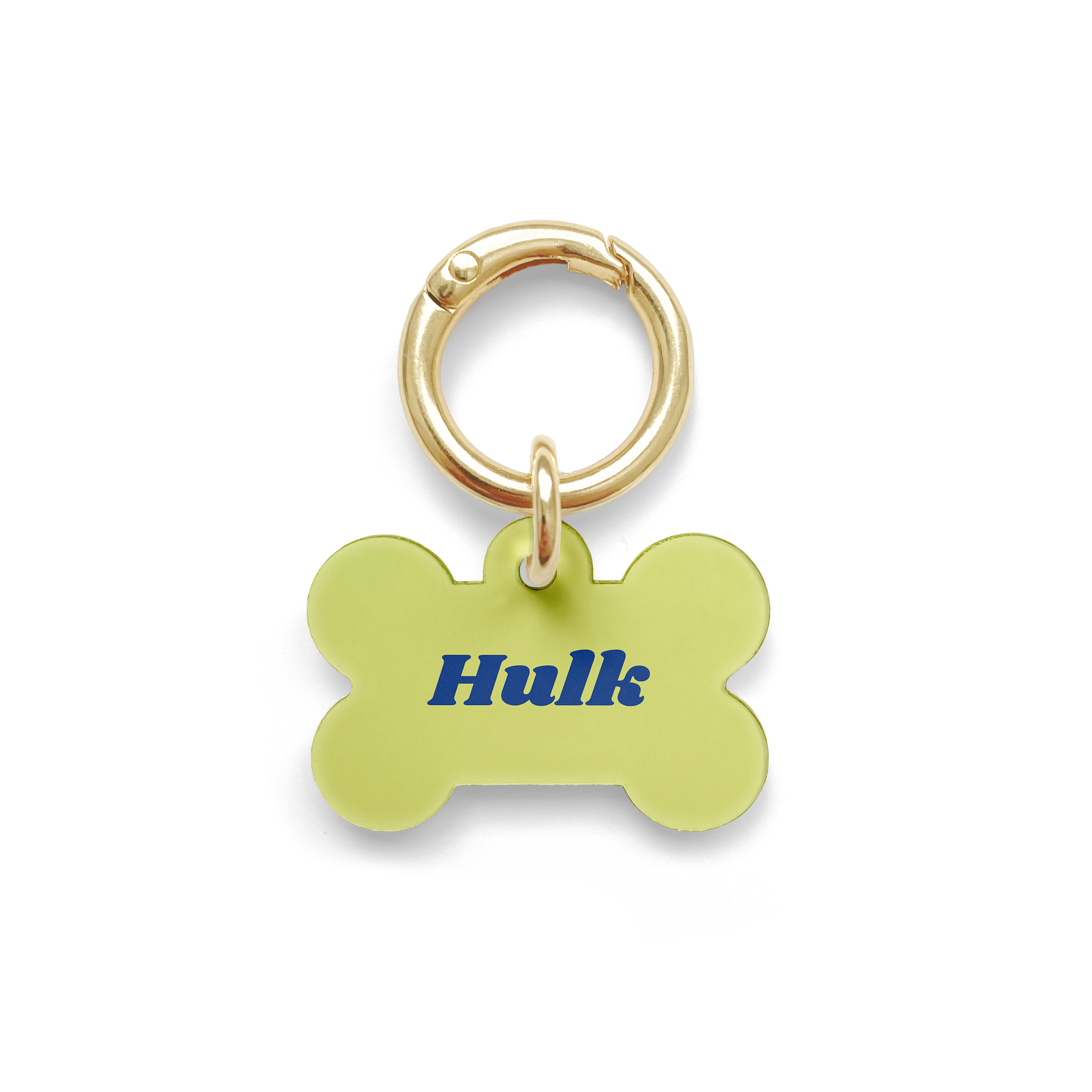 Light green bone shaped pet tag and navy blue writing of the pets name, with a gold ring