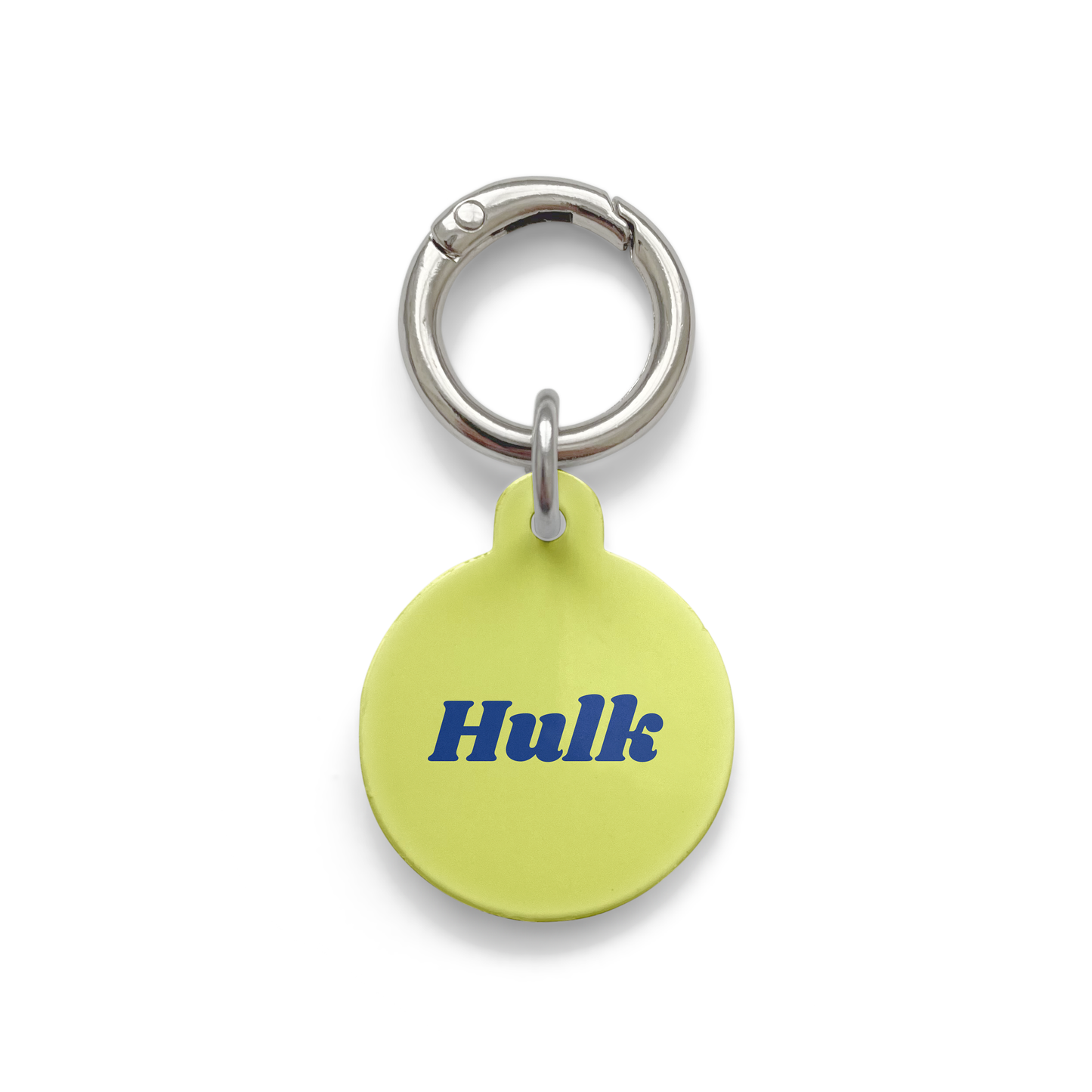 Light green circular pet tag and navy blue writing of the pets name, with a silver ring