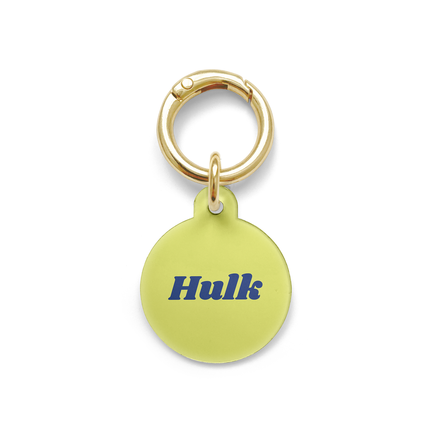 Light green circular pet tag and navy blue writing of the pets name, with a gold ring