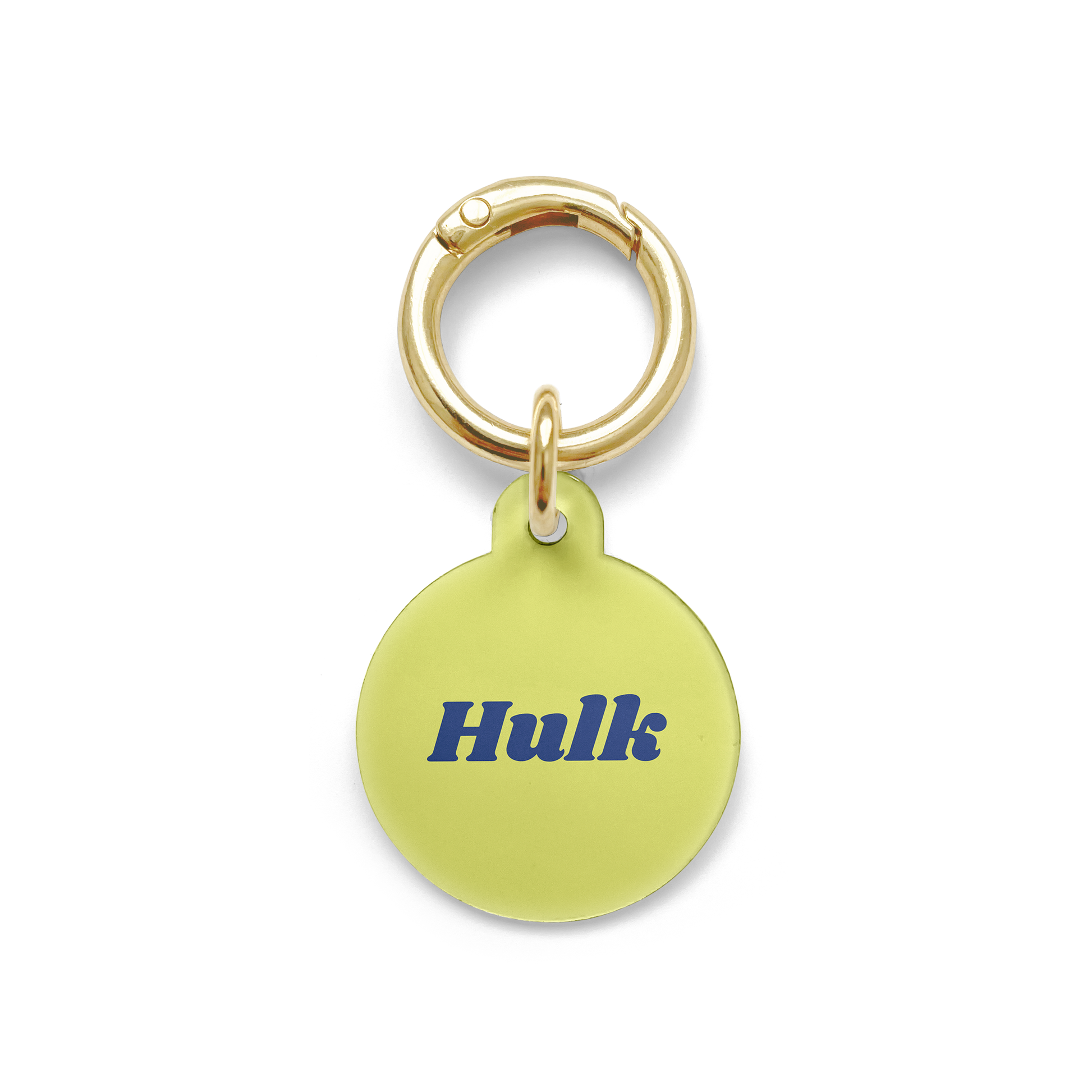 Light green circular pet tag and navy blue writing of the pets name, with a gold ring
