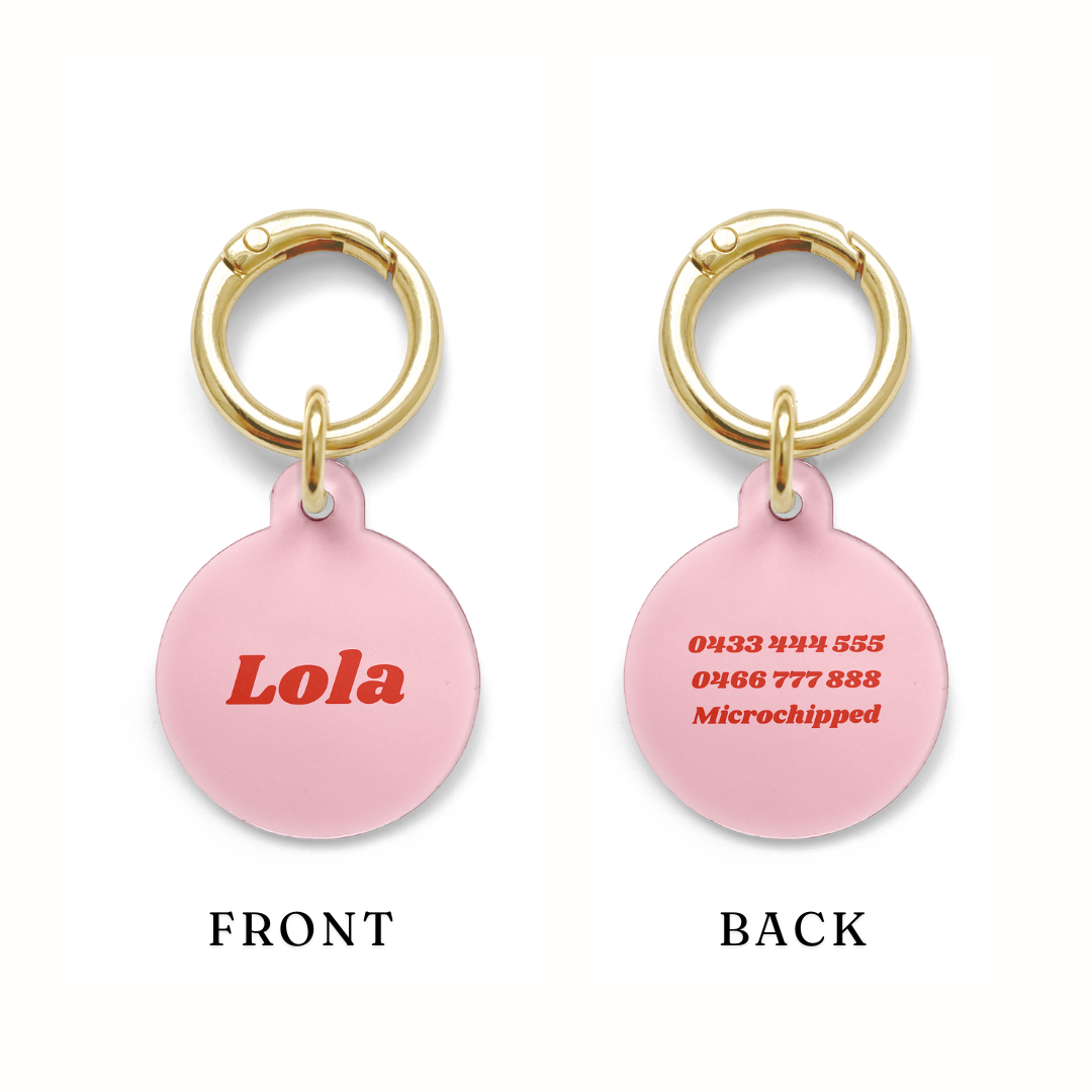 Example of where the contact information goes on the Pink Pet ID tag from the simple range